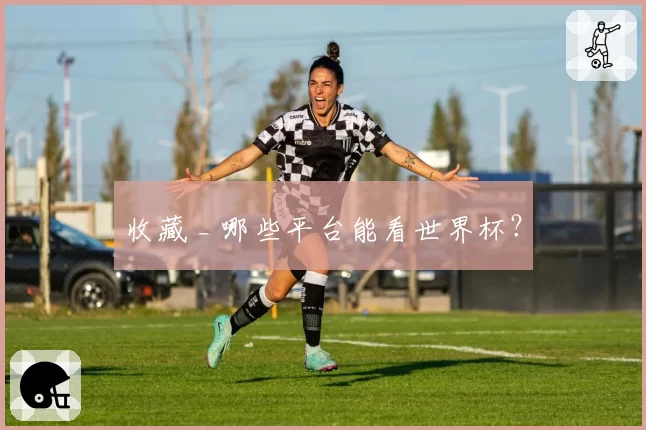 收藏 _ 哪些平台能看世界杯?