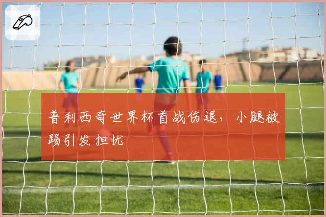 普利西奇世界杯首战伤退，小腿被踢引发担忧