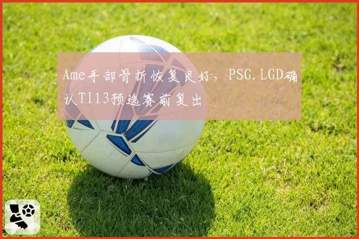 Ame手部骨折恢复良好，PSG.LGD确认TI13预选赛前复出