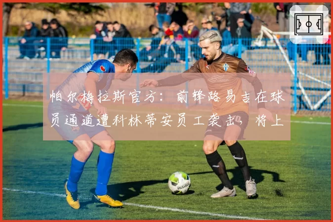 帕尔梅拉斯官方：前锋路易吉在球员通道遭科林蒂安员工袭击，将上诉