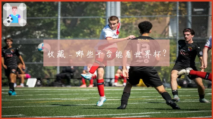 收藏 _ 哪些平台能看世界杯?