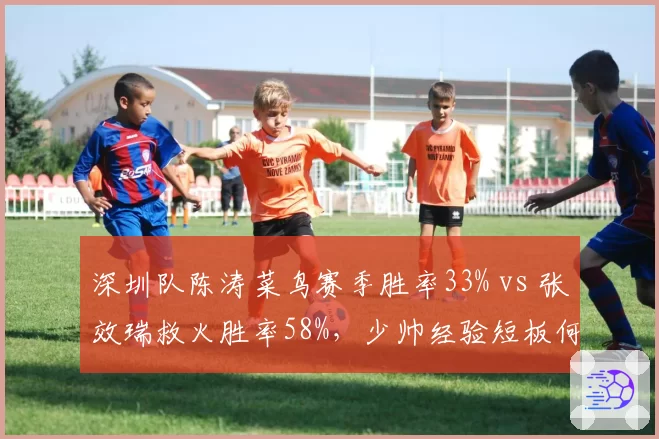 深圳队陈涛菜鸟赛季胜率33% vs 张效瑞救火胜率58%,少帅经验短板何时补